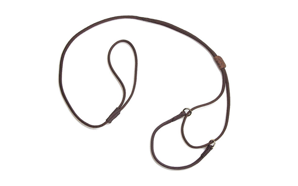 Expositor collar y correa para perro.