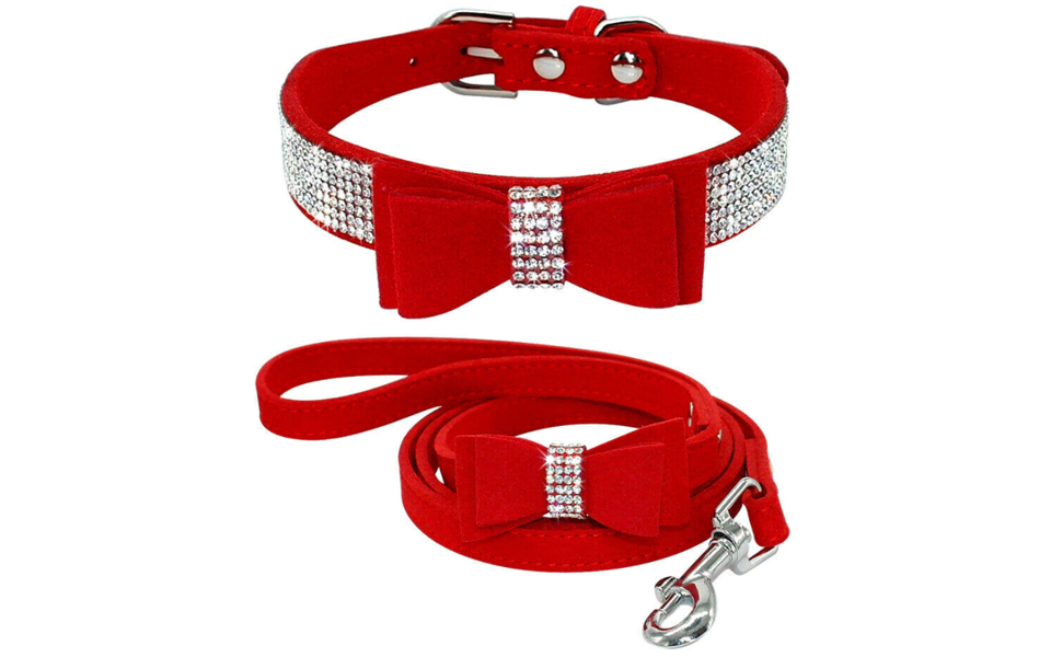 Collar rojo y correa con guijarros.
