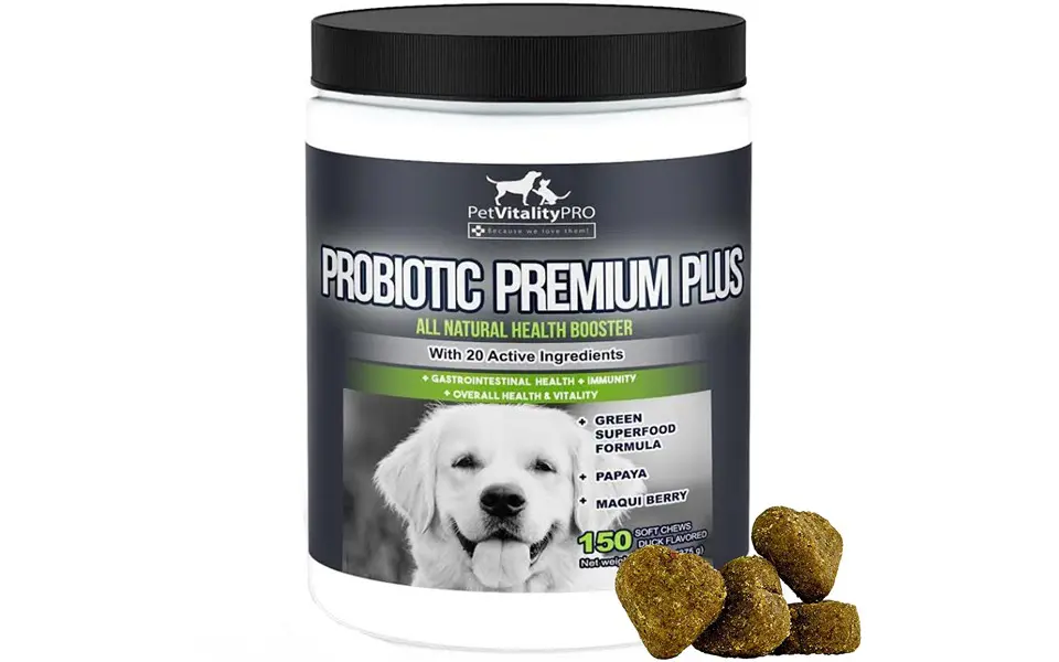 Envase con suplementos probióticos para perros PetVitalityPro Probióticos para perros.