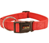 8 tipos diferentes de collares para perros
