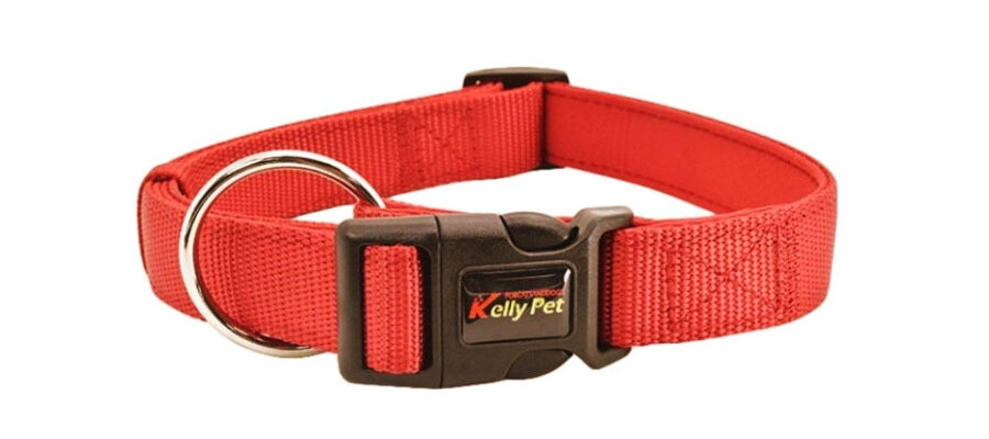 Collar de perro rojo.