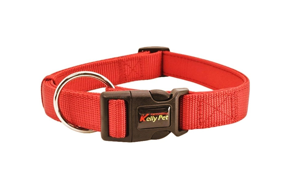 Collar de perro rojo.