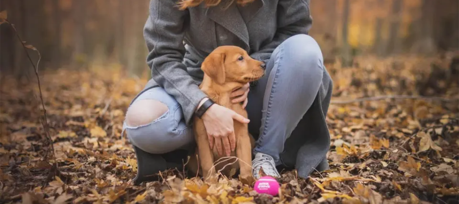 Cachorro con su dueño.
