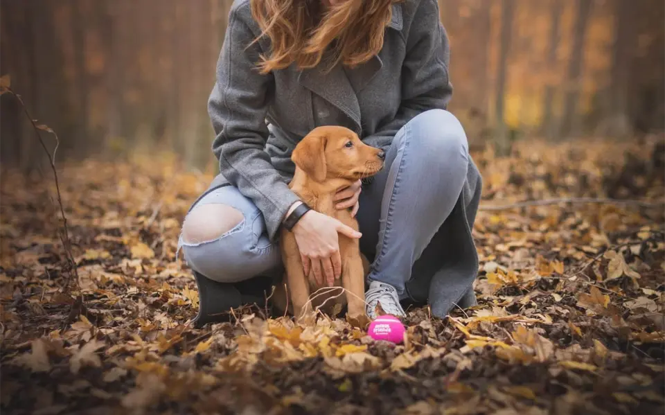 Cachorro con su dueño.