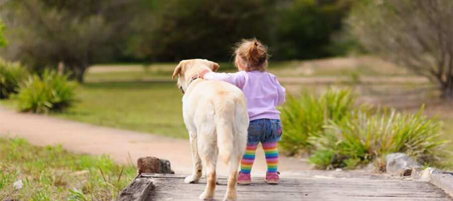 Niño paseando con un perro.