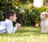 Cómo «hablar» a los cachorros en lenguaje canino