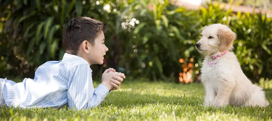 Niño y cachorro mirándose a los ojos en la hierba.