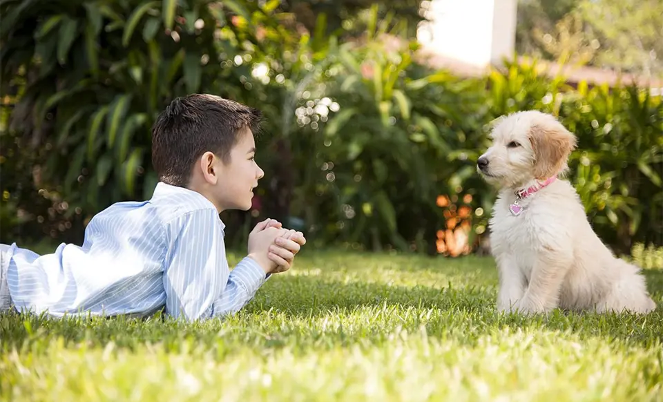 Niño y cachorro mirándose a los ojos en la hierba.
