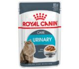 El mejor alimento para la salud del tracto urinario en gatos