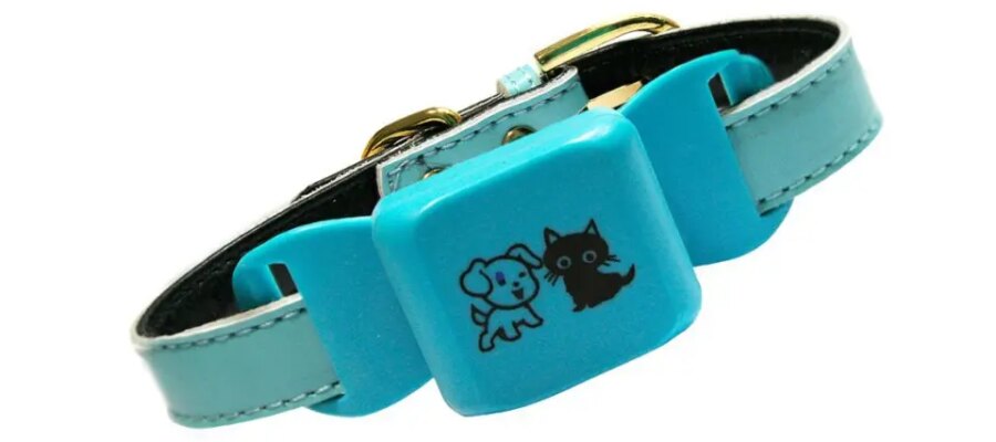 Collar de rastreo GPS, Caros para perros azul.