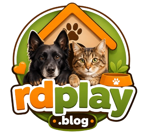 RD Play